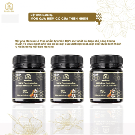 Mật Ong Manuka Eco MGO 550+ Chính Hãng Từ Australia - 250g