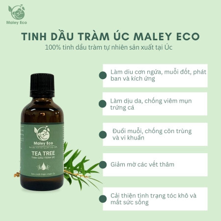 Tinh dầu tràm trà nguyên chất 100% chăm sóc da đầu - Giải pháp làm sạch tự nhiên MALEY ECO