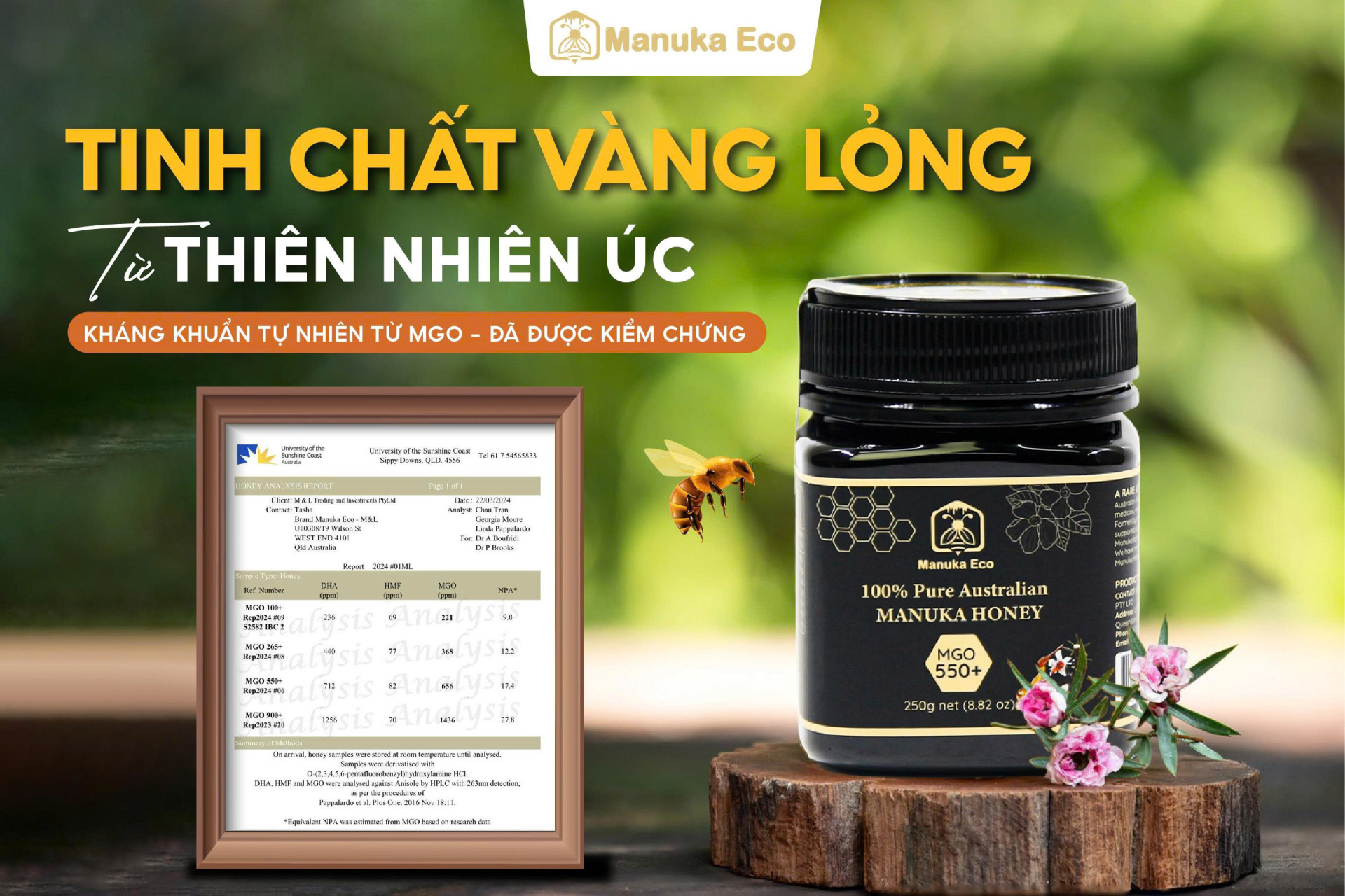 Kiểm nghiệm MGO mật ong Manuka Eco.jpg (734 KB)